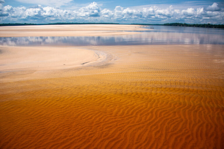 Acordo judicial garante permanência de quilombolas em PARNA no Amazonas