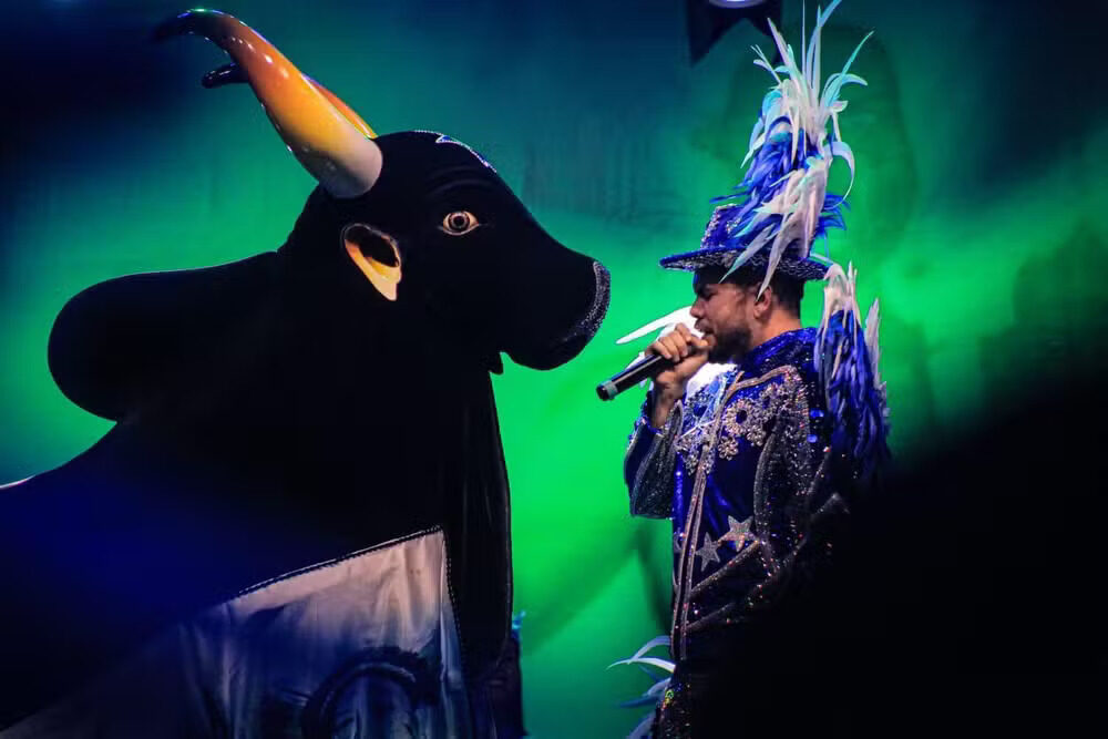 conheça o vocabulário das toadas do Festival de Parintins