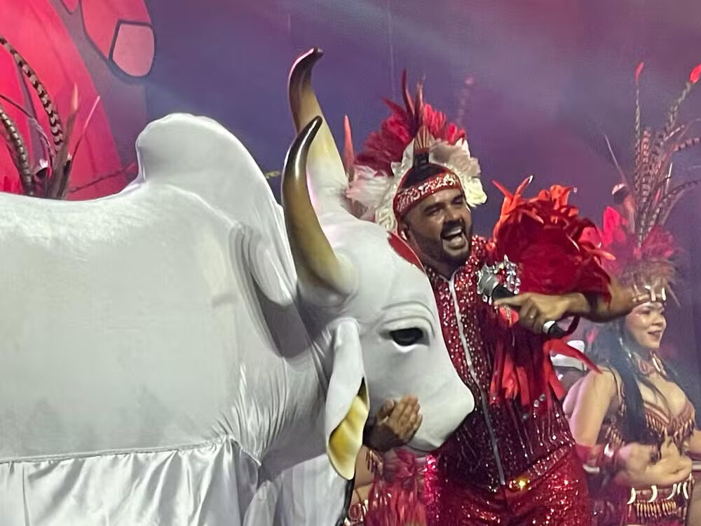 conheça o vocabulário das toadas do Festival de Parintins