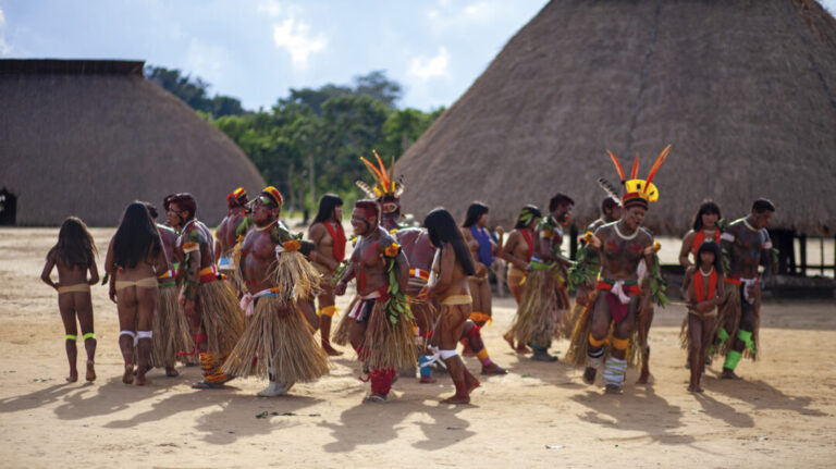 Técnica de plantio de povo do Alto Xingu aumenta a diversidade da mandioca