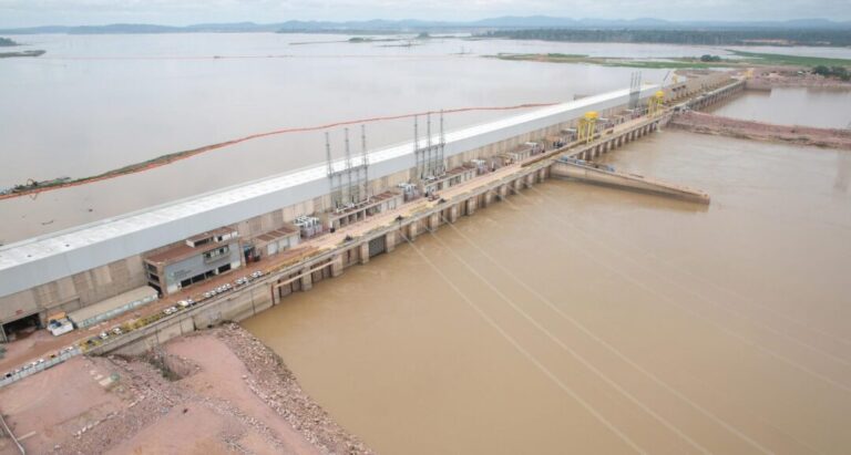 Barragens no rio Madeira alteram rotas migratórias do peixe dourada, aponta artigo
