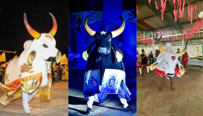 Bois de Maués: conheça os bumbás do Festival da Ilha de Vera Cruz