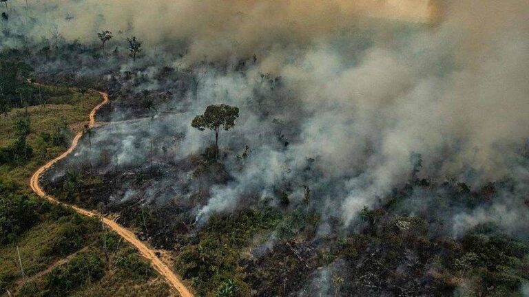 Desmatamento da Amazônia pode acelerar aquecimento global e gerar um ponto de não-retorno climático, alerta Climatempo