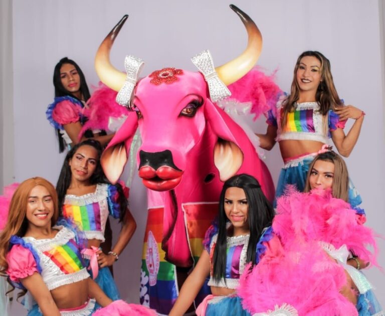 Boi Boiola, o “boi da Grelhação”: conheça um dos bumbás da diversidade em Parintins; saiba qual é o outro