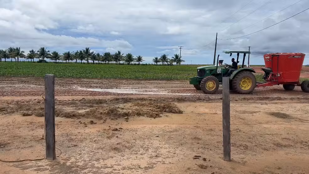Integração entre lavoura e pecuária