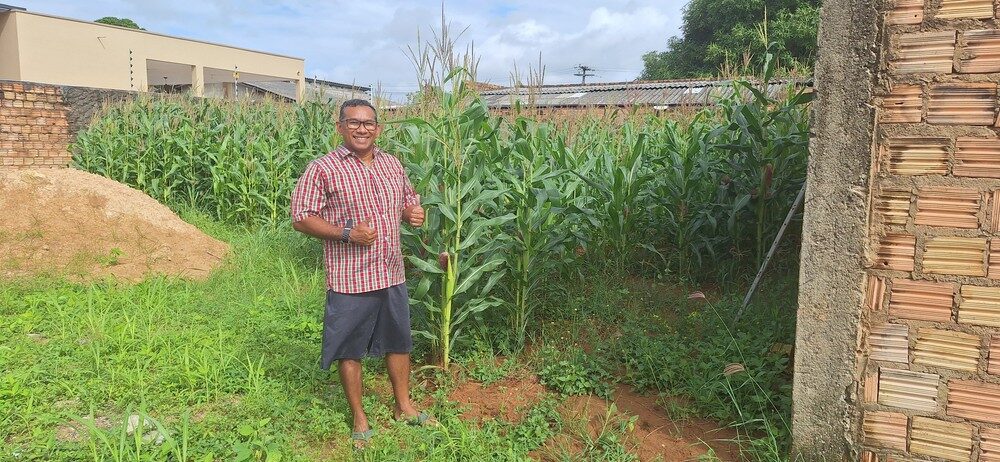 Professor de química e fã de arraial cultiva milho