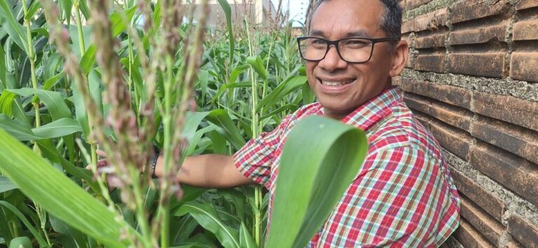 Professor de química e fã de arraial cultiva milho no quintal de casa em Boa Vista: ‘É como uma terapia’