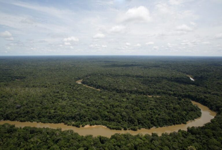 Governo do Peru anuncia criação de área protegida em floresta de Putumayo