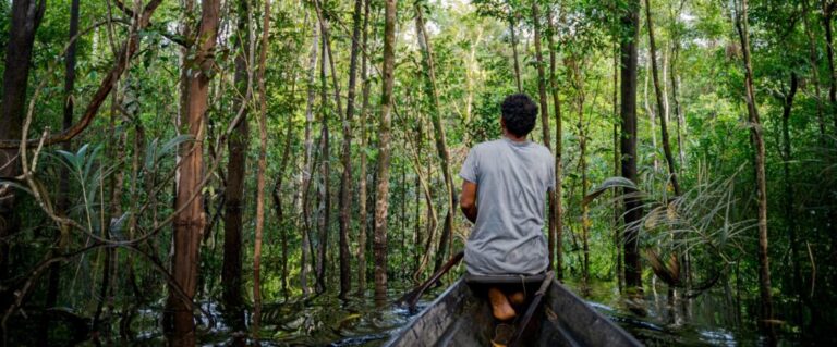 Ufopa começa em agosto projeto sobre Saúde Digital na Amazônia