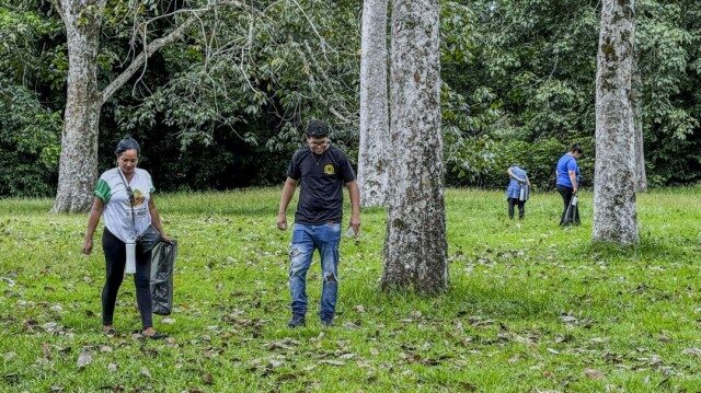 Redes comunitárias fornecem sementes
