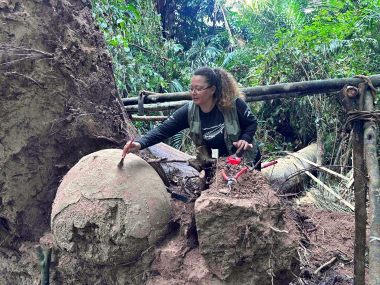 Sete urnas funerárias milenares descobertas no Amazonas revelam práticas indígenas ancestrais