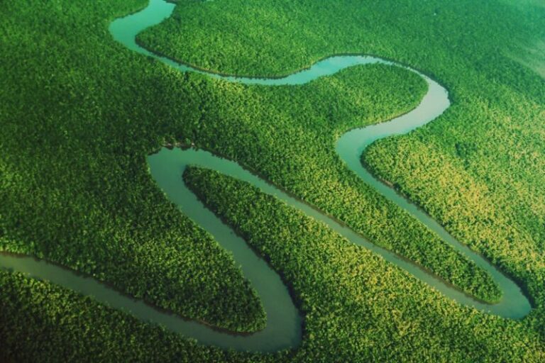 Entenda o que é a Cota de Proteção Ambiental regulamentada no Pará