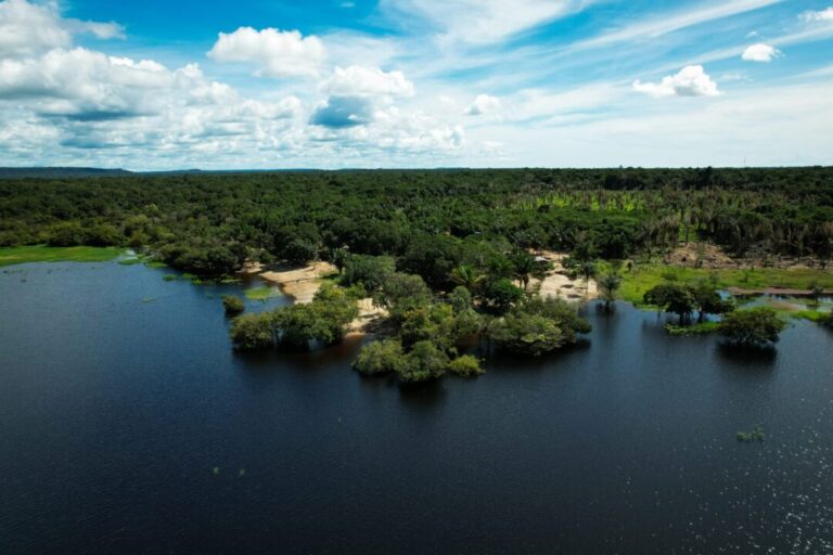 Pará tem nova trilha ecológica na APA Jará, em Juruti