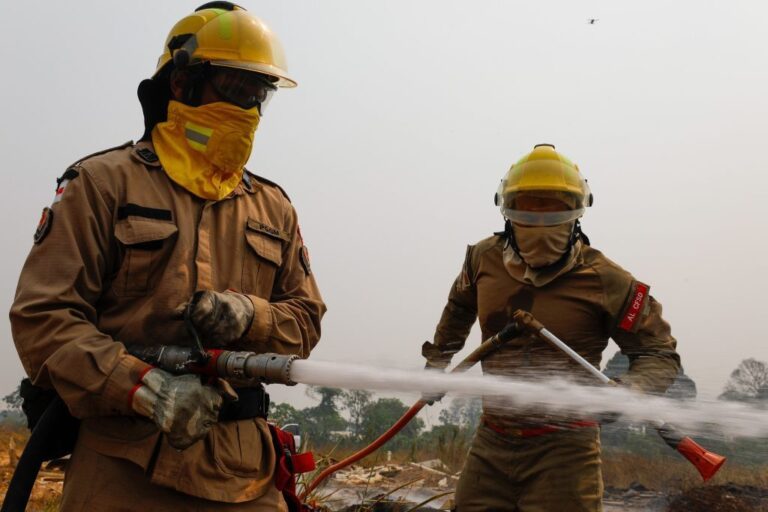 Amazonas registra queda de quase 67% nos focos de calor no primeiro semestre de 2025