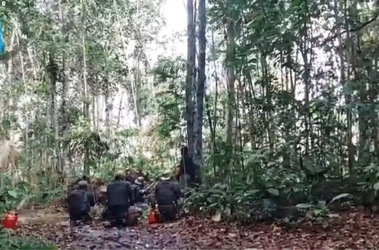 Área de ataque a fiscais do ICMBio já registrou sete confrontos armados só em 2025, diz instituto