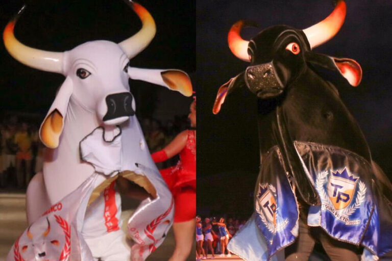 Touro Branco e Touro Preto: os bumbás que movimentam o Festival Folclórico de Barreirinha