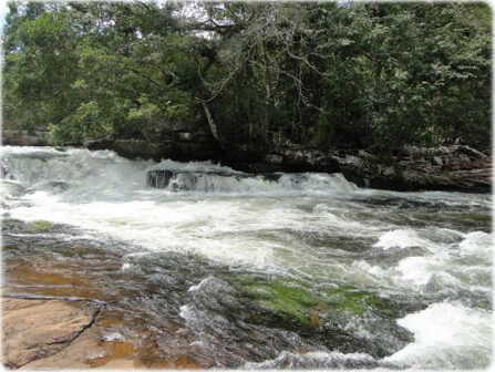 Conheça 5 Parques Nacionais encontrados na região Norte