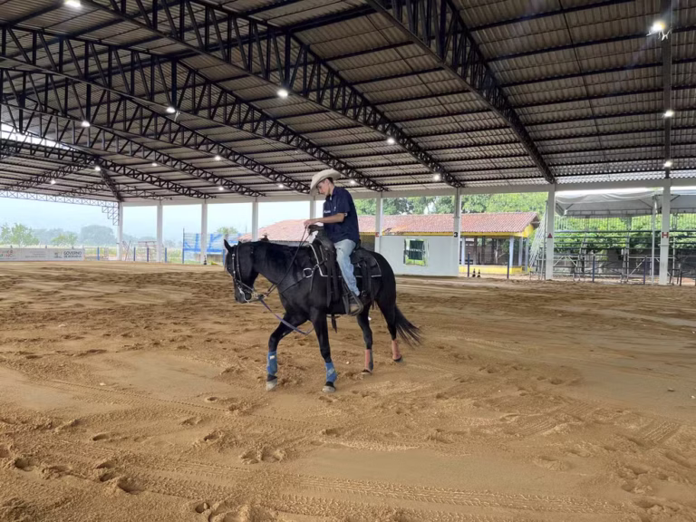 Roraima: competições com cavalos movimentam setor do agronegócio e consolidam esporte no campo