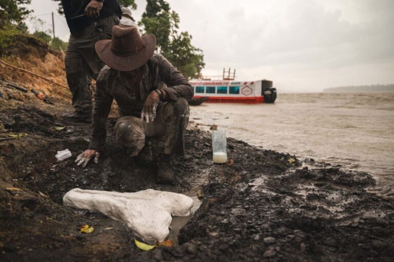 Expedição científica busca as origens da biodiversidade da Amazônia peruana