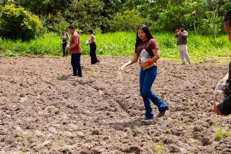 Indígenas realizam plantio com o objetivo de restaurar áreas devastadas em Roraima