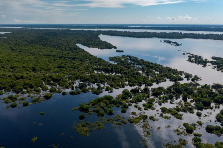 Rede Wetscape visa proteger áreas úmidas em todo o território nacional