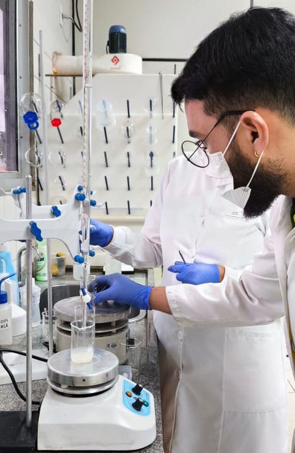 Pesquisadores criam curativo feito com bambu amazônico 100% biodegradável