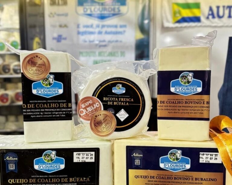 Queijarias artesanais do Amazonas conquistam medalhas no Prêmio Queijo Brasil