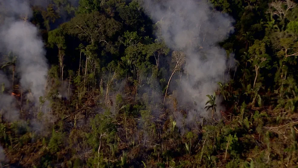 Amazonas tem queda de quase 67% nos focos de calor