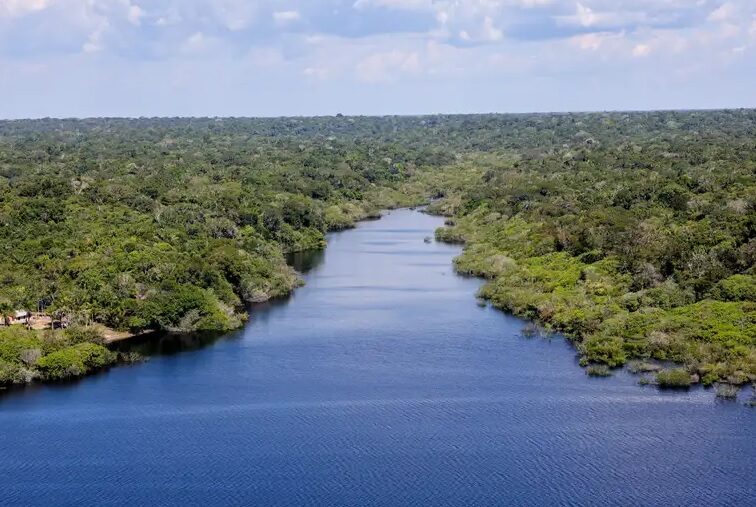 Amazônia recupera superfície de água após dois anos de seca severa