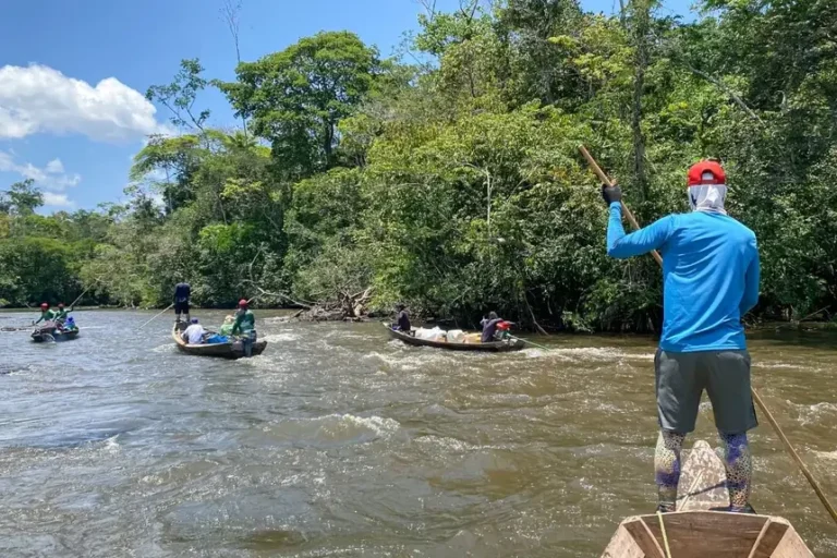 Governo do Amapá busca certificação da RDS do Rio Iratapuru em programa de conservação internacional