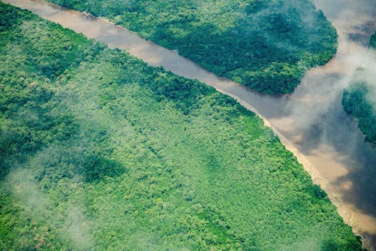 Pará registra queda de 74% dos focos de queimadas em julho de 2025