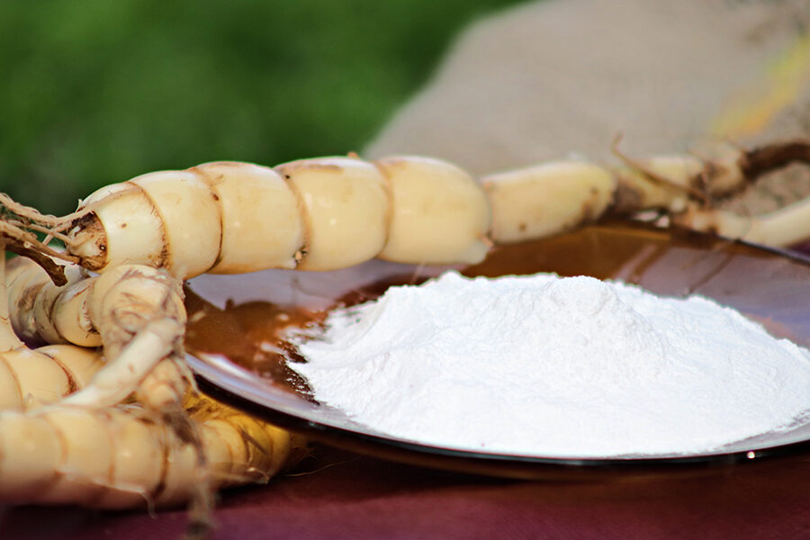 farinhas artesanais amazônicas