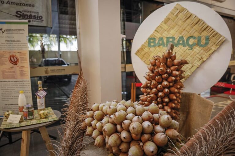 No Dia do Agricultor, Aleam destaca legislações que fortalecem o setor rural no Amazonas