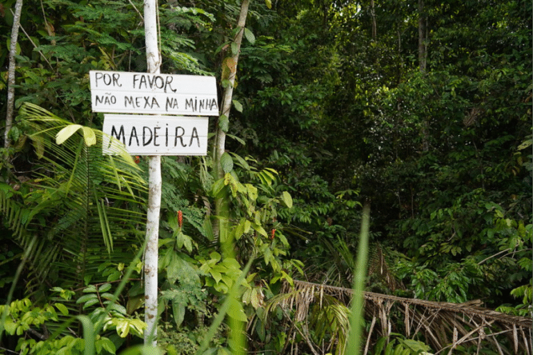 Grilagem de terras resulta em apenas 7% de condenações em decisões judiciais sobre terras na Amazônia