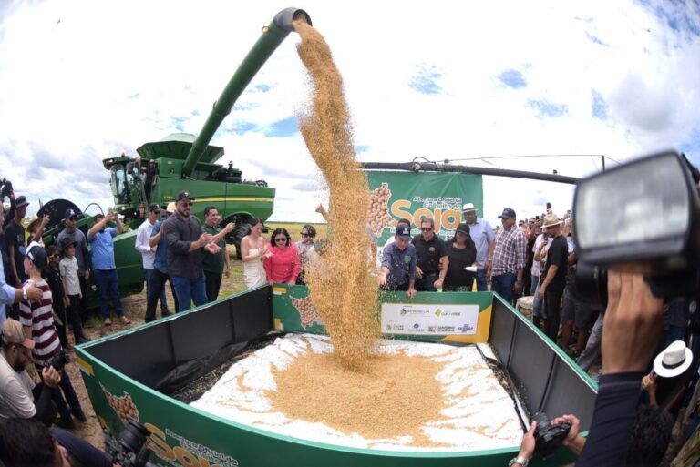 Roraima celebra colheita recorde de grãos com evento em Alto Alegre