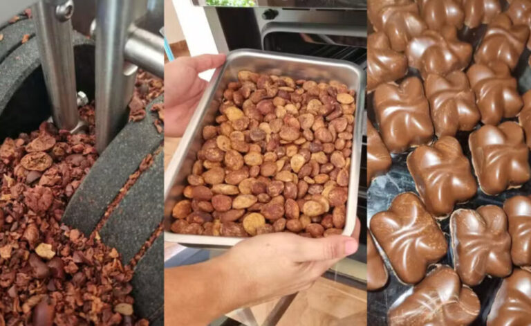 Doce feito com caroço de cupuaçu leva startup do Amapá à final da Expo Favela Innovation