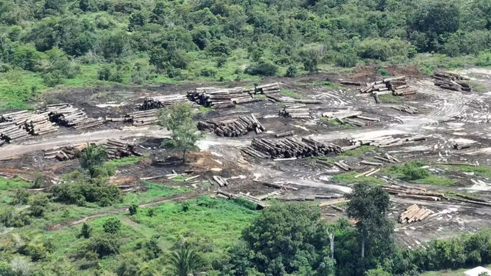 Desmatamento ilegal no Amazonas — Foto: Divulgação / Polícia Federal
calculadora