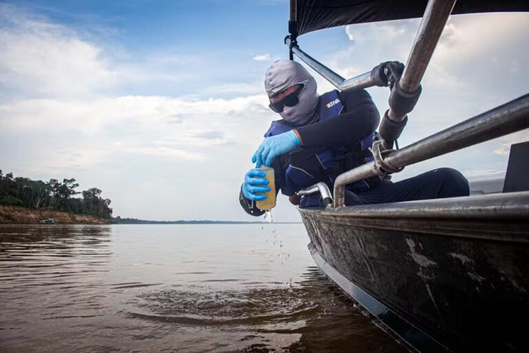 Mercúrio é detectado em peixes do rio Madeira; estudo alerta ribeirinhos para riscos à saúde