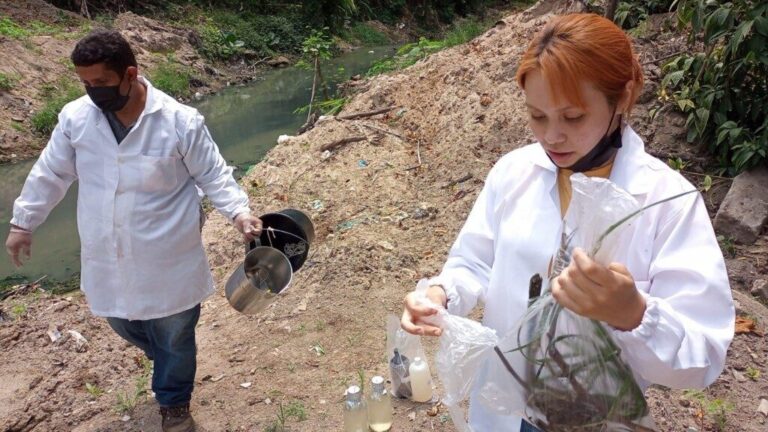 Fungos nativos da região Amazônica funcionam como alternativa sustentável para biotratamento da água