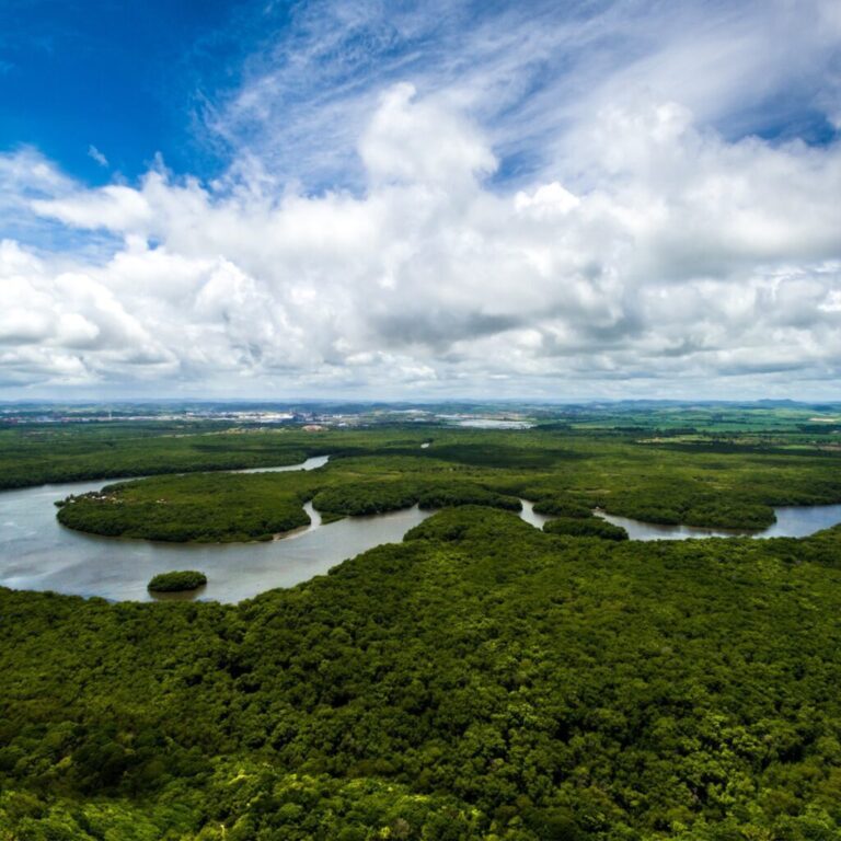 Amazonas tem queda de 93,4% nos registros de focos de calor em julho de 2025