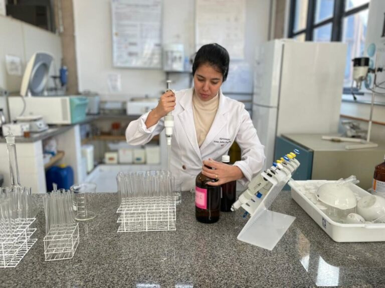 Pesquisadora desenvolve bebida láctea fermentada de cupuaçu