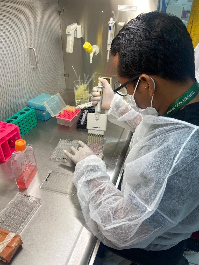 Pesquisa analisa óleos essenciais como bioinseticidas contra vetores causadores de malária e dengue