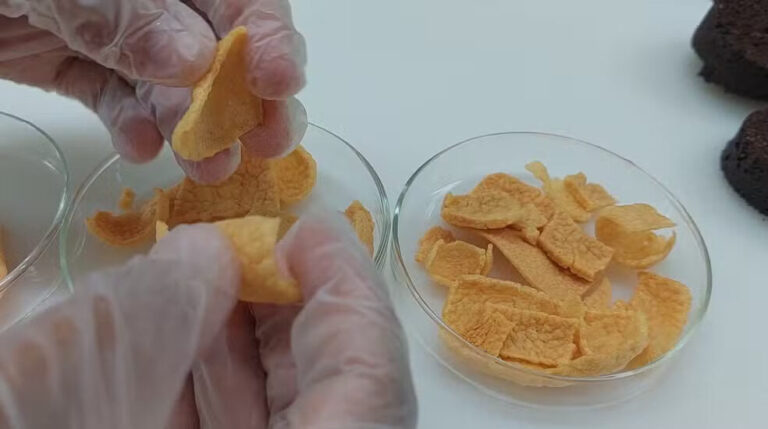 Farinha de peixe é desenvolvida no Amazonas para substituir trigo em receitas saudáveis