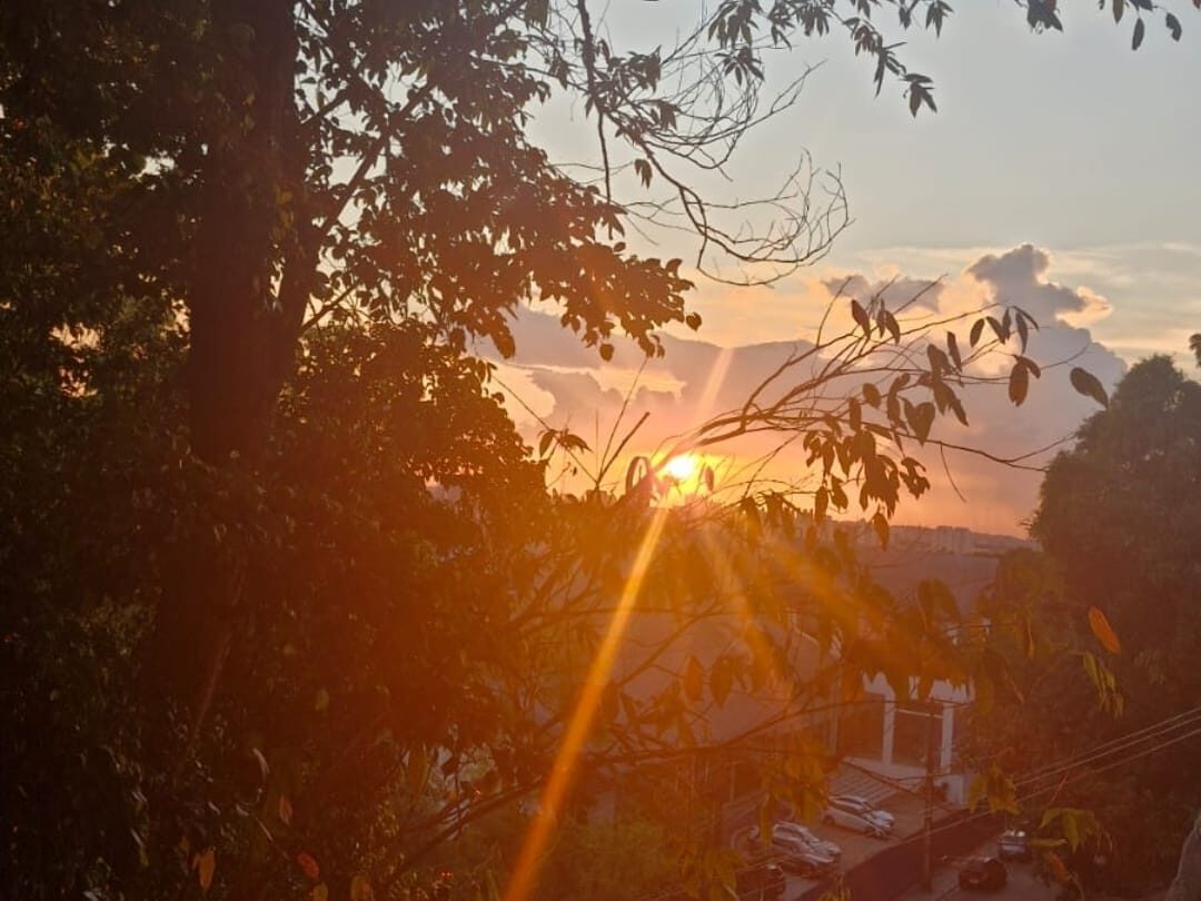 Amazonas tem queda de 93,4% nos registros de focos de calor em julho