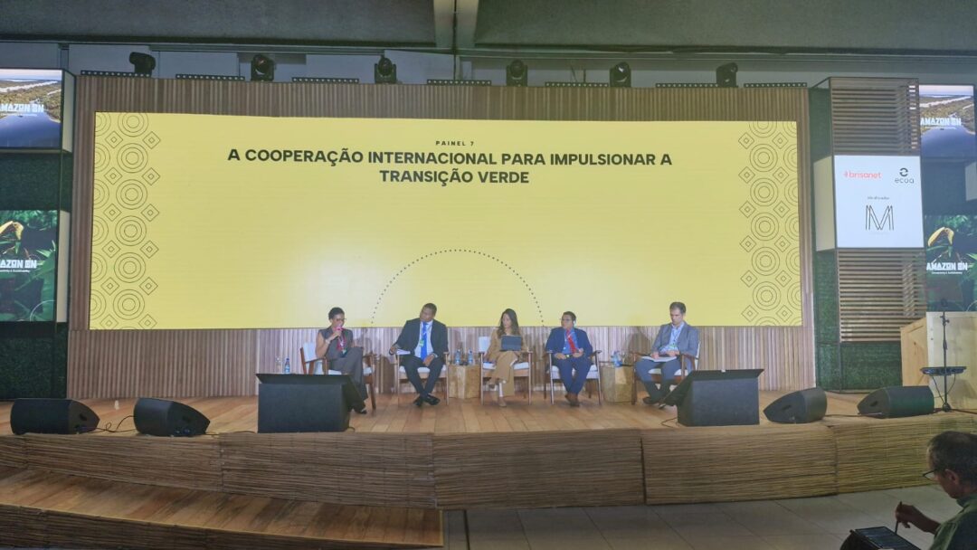 Cooperação internacional é chave para impulsionar transição verde