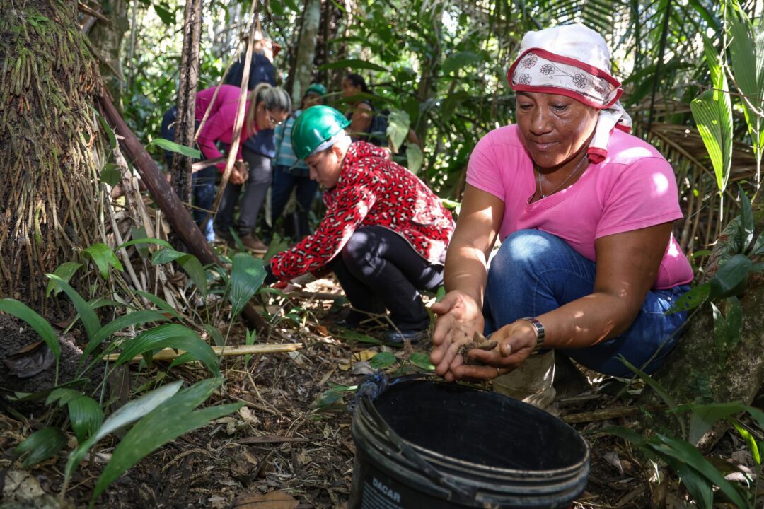 mulheres coleta murumuru