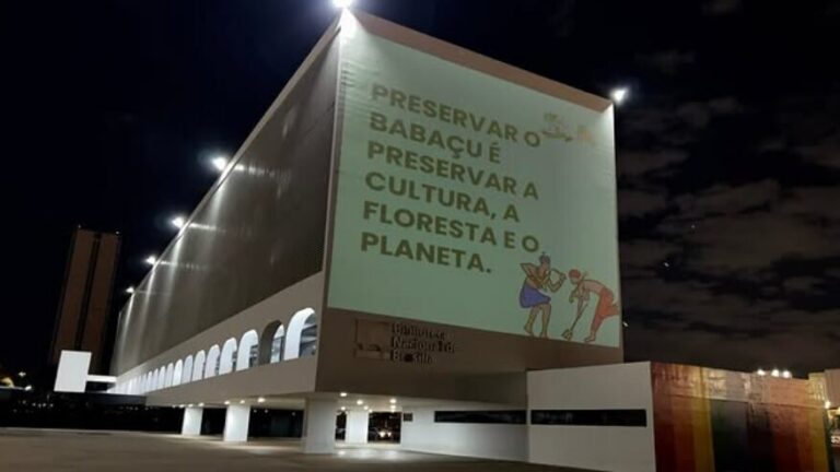 Campanha ‘Babaçu Livre, Território é Vida’  fortalece luta das quebradeiras de coco