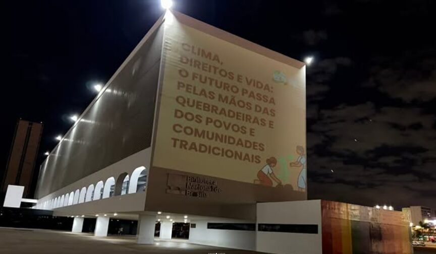 campanha quebradeiras de coco babaçu
