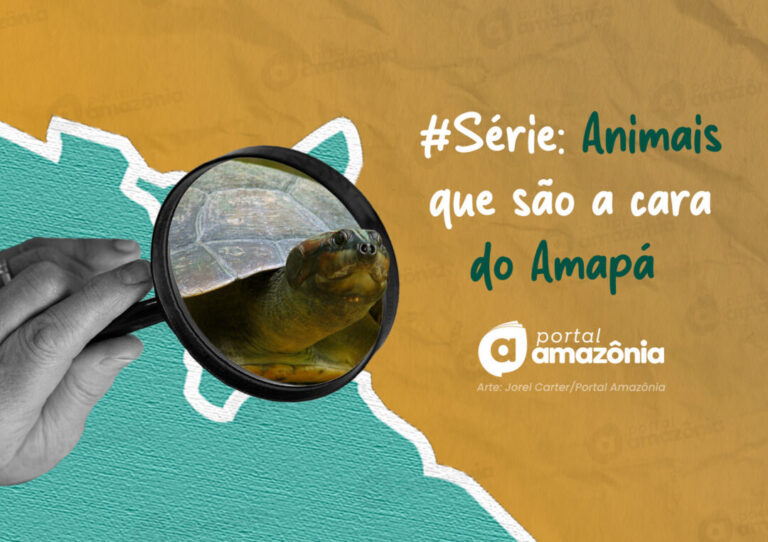 #Série l A cara da Amazônia: 5 animais que são a cara do Amapá 