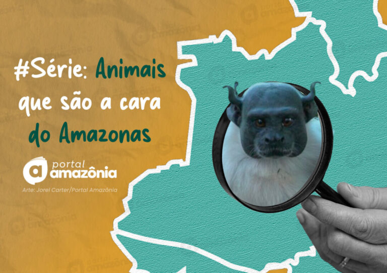 #Série l A cara da Amazônia: 5 animais que são a cara do Amazonas
